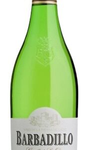 vino blanco barbadillo castillo san diego