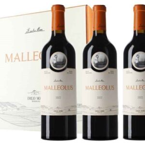 caja madera 3 bot malleolus 