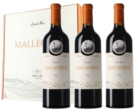 caja madera 3 bot malleolus