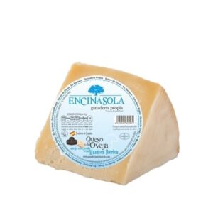 Home queso aÑejo oveja cuarto encinasola